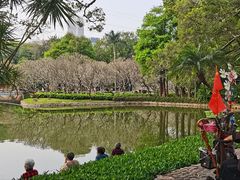 -晓港公园
