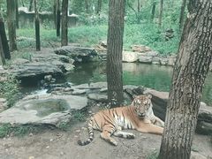 -北京野生动物园