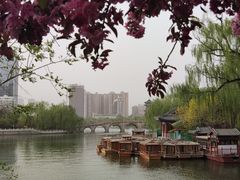 -迎泽公园