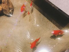 -小隐足道·按摩·主题SPA馆(西红门店)