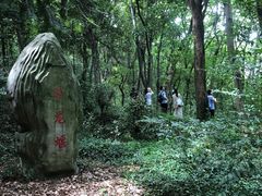 -上海佘山国家森林公园天马山园