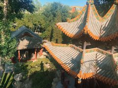 -碑林公园