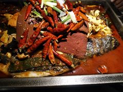-探鱼·鲜青椒爽麻烤鱼(西南商都店)