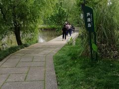 -长兴太湖图影湿地文化园
