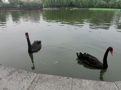 -中国农业博物馆