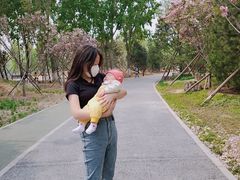 -回龙观体育文化公园