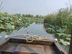 -东郊湿地公园