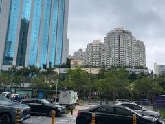 -凤凰楼酒家·粤宴点心(华强北店)