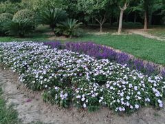 -贵阳市花溪国家城市湿地公园