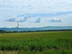 -野鸭湖国家湿地公园