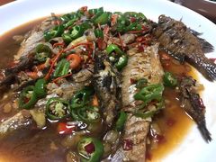 -全乐鱼馆·淳牌有机鱼直营店