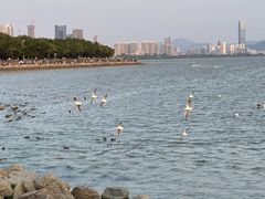 -深圳湾公园(南山区)