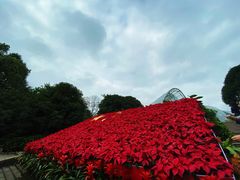 -南山植物园