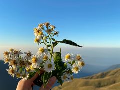-萍乡武功山风景名胜区