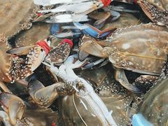 -锦绣大地生鲜食品厅