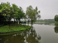 -东郊湿地公园