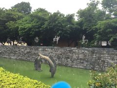 -外沙疍家棚酒楼