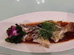 -合肥皇冠假日酒店·玉宫中餐厅