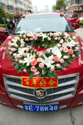-香香造型
