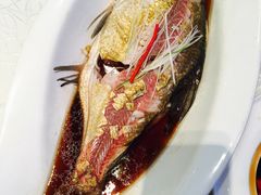 清蒸武昌鱼-亢龙太子酒轩(东湖店)
