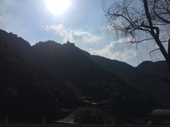 -沣峪鱼庄