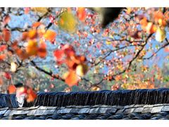 -塔川景区