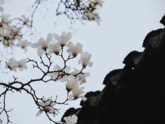 -耦园