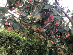 -春晖园度假酒店温泉