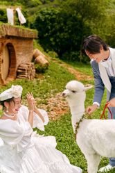 -花漾摄影优选工作室(东莞原创作品店)