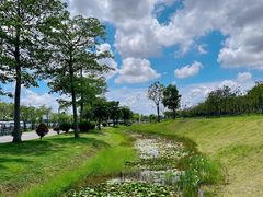 -露天矿生态公园