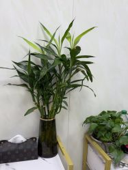 -TRIMS HAIR 修剪造型·烫染接发