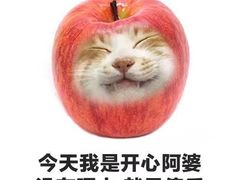 -半勺舒舒生日蛋糕店