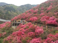 -木兰云雾山