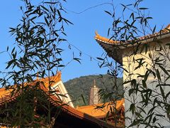 -深圳仙湖植物园