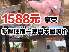 -安德鲁户外烧烤帐篷营地(马泉营店)