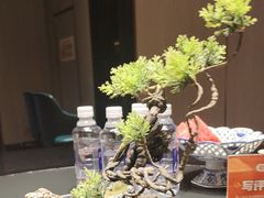 -忆江南·临江鱼馆