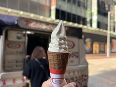 -富豪雪糕车流动点(尖沙咀店)