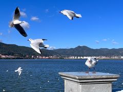 -海埂大坝