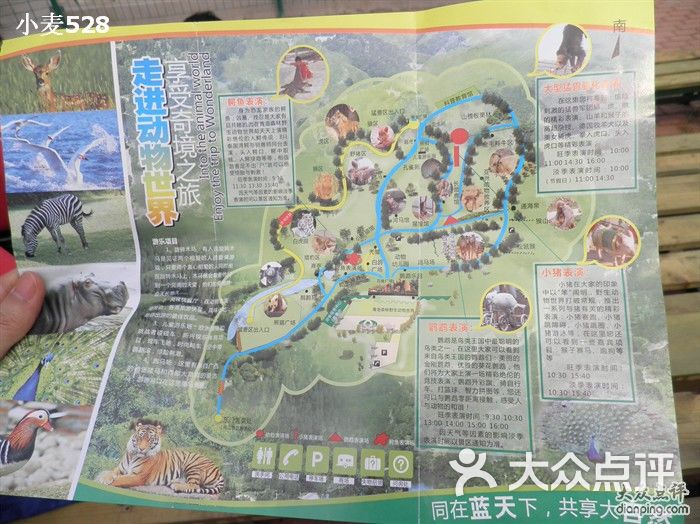 青岛森林野生动物世界可以骑马哦图片