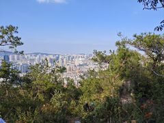 -五缘湾湿地公园