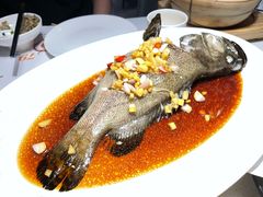 清蒸老虎斑-79号渔船海鲜饭店(宝安店)