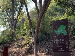 -上海佘山国家森林公园天马山园