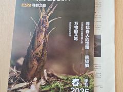 -巴奴毛肚火锅(七宝领展广场店)