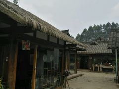 -秀丽东方
