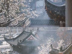 -长春观