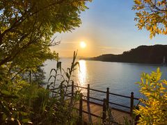 -羡餐厅-千岛湖自由洲际殿