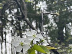-金沙遗址博物馆