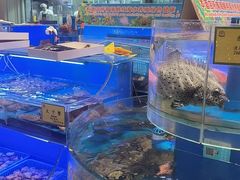 -新海渔港·胶东海鲜家常菜·家宴(奥体中心店)