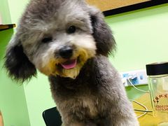 -圣宠动物医院·犬猫专科·影像中心·外科中心