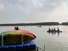 -上海海湾国家森林公园